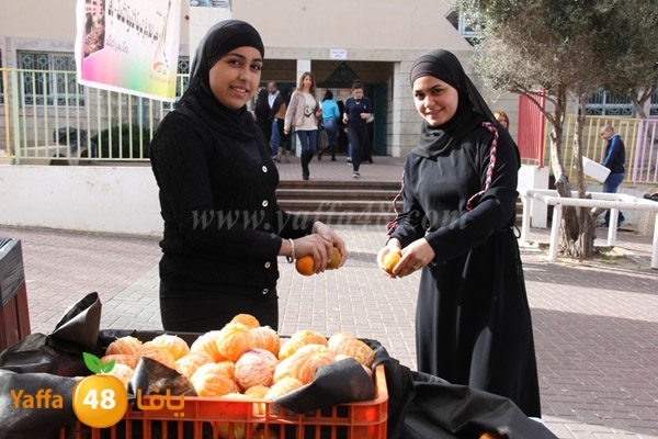 shamela sandouq (25).JPG